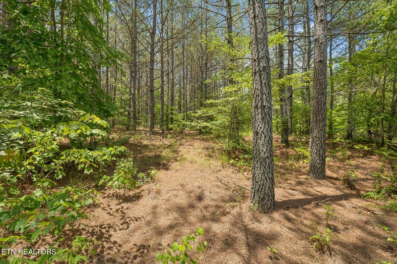 0 Nydeck Tr #Tract 3, Robbins, TN 37852