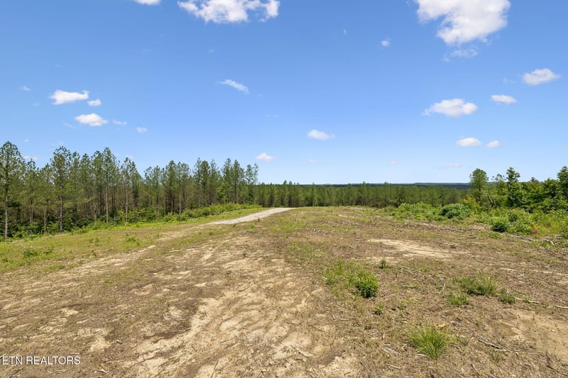 0 Nydeck Tract 1 Rd, Robbins, TN 37852