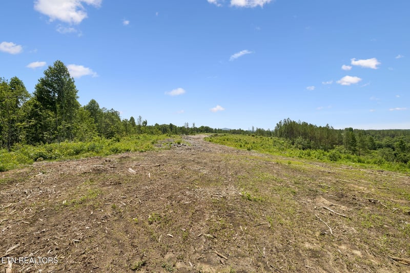 0 Nydeck Tract 1 Rd, Robbins, TN 37852