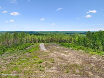 0 Nydeck Tract 1 Rd, Robbins, TN 37852