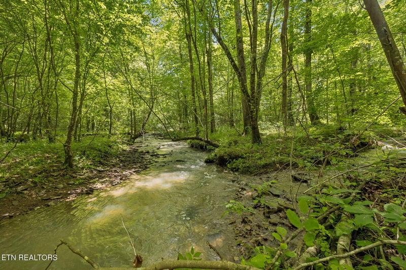 0 Nydeck Tract 4 Rd, Robbins, TN 37852