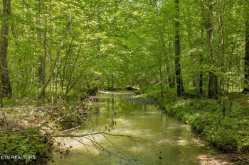 0 Nydeck Tract 4 Rd, Robbins, TN 37852