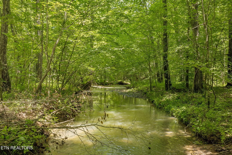 0 Nydeck Tract 4 Rd, Robbins, TN 37852