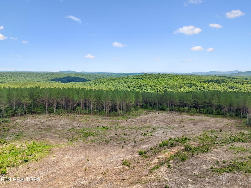 0 Nydeck Tract 4 Rd, Robbins, TN 37852