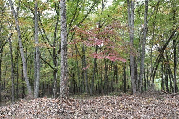 0 Oak Hill Ln, Vonore, TN 37885