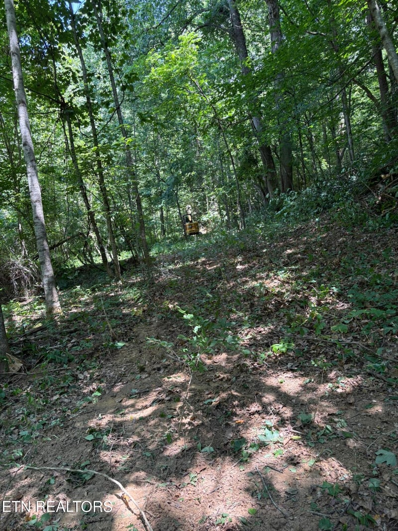 0 Oak Lake Dr, Sevierville, TN 37876