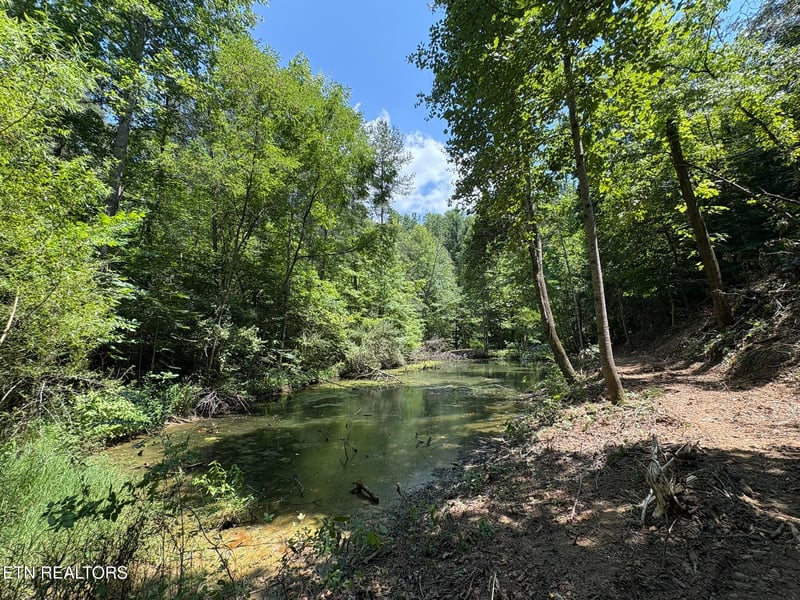0 Oak Lake Dr, Sevierville, TN 37876