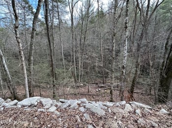 0 Oakdale Piney Rd, Oakdale, TN 37829