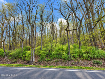 0 Oakland Rd, Sweetwater, TN 37874