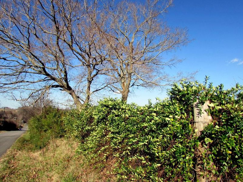0 Off County Road 415, Englewood, TN 37329