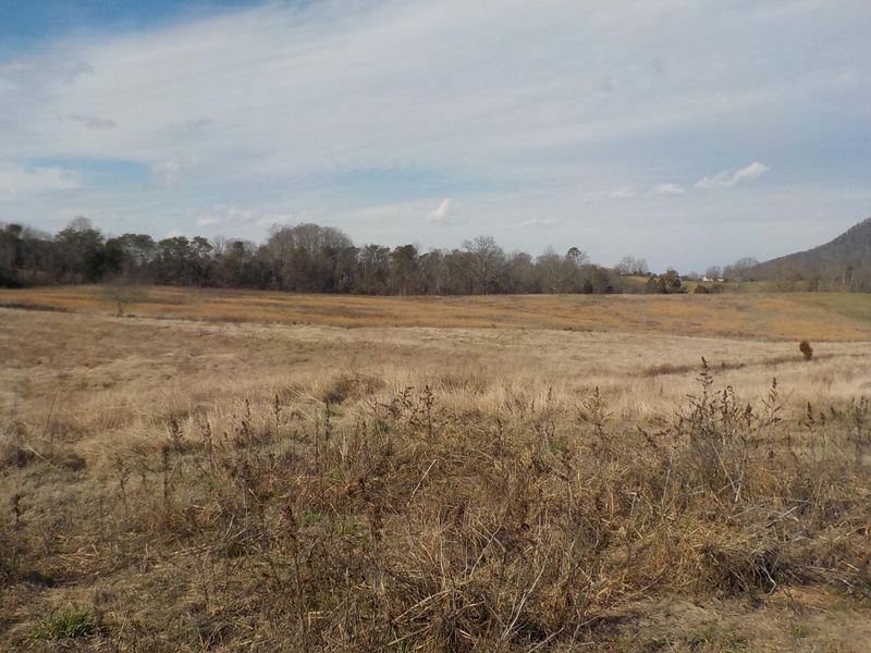 0 Off Rutledge Pike, Blaine, TN 37709