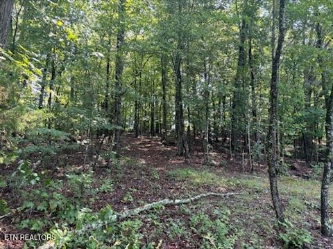 0 Offutt Rd, Clinton, TN 37716