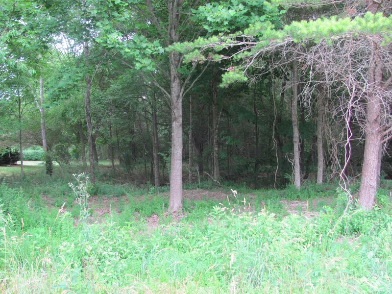 0 Ogana Tc, Loudon, TN 37774