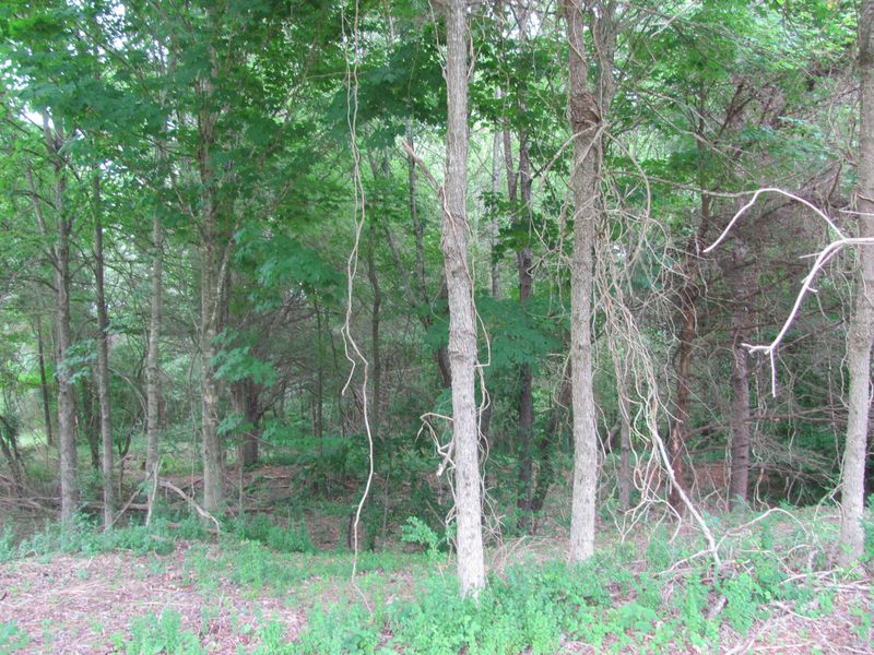 0 Ogana Tc, Loudon, TN 37774