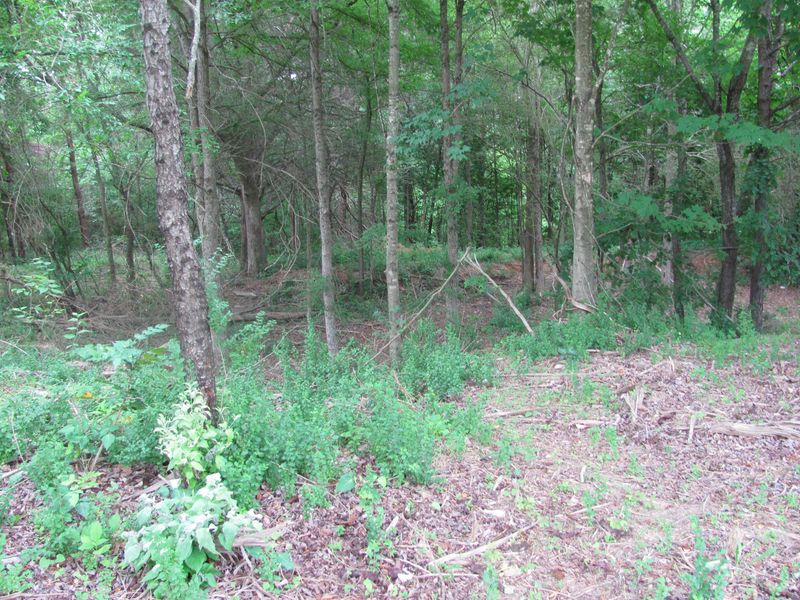 0 Ogana Tc, Loudon, TN 37774
