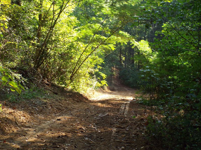 0 Ogle Rd, Sevierville, TN 37876