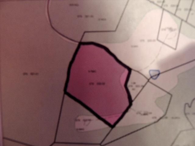 0 Old Antioch Rd, Crab Orchard, TN 37723