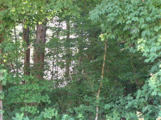0 Old Belltown Rd, Tellico Plains, TN 37385