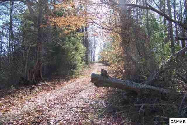 0 Old Birds Creek, Sevierville, TN 37876
