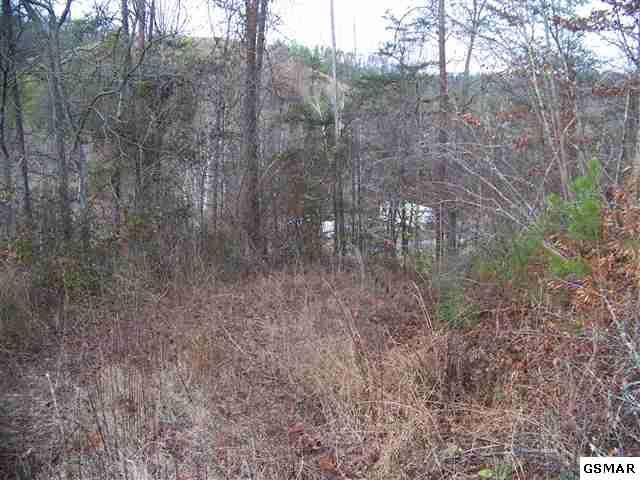0 Old Birds Creek, Sevierville, TN 37876