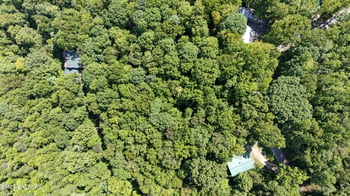 0 Old Cades Cove Rd, Townsend, TN 37882