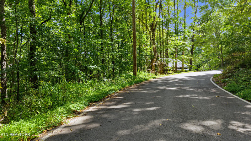 0 Old Cades Cove Rd, Townsend, TN 37882