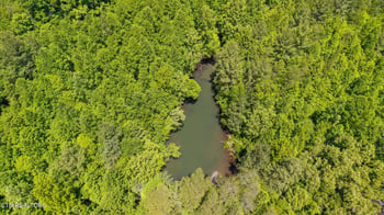 0 Old Chilhowee Tract 1 Rd, Seymour, TN 37865