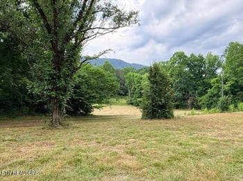 0 Old Chilhowee Tract 1 Rd, Seymour, TN 37865