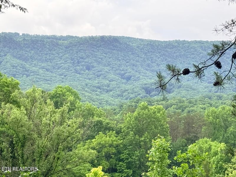 0 Old Chilhowee Tract 1 Rd, Seymour, TN 37865
