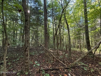 0 Old Chilhowee Tract 2 Rd, Seymour, TN 37865