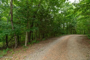 0 Old Citigo Rd, Vonore, TN 37885