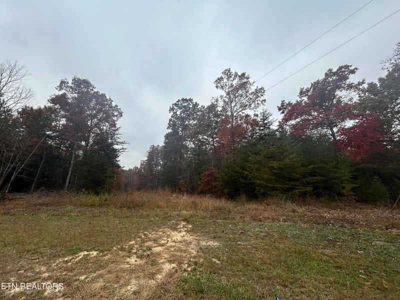0 Old Collins Turnpike, Deer Lodge, TN 37726