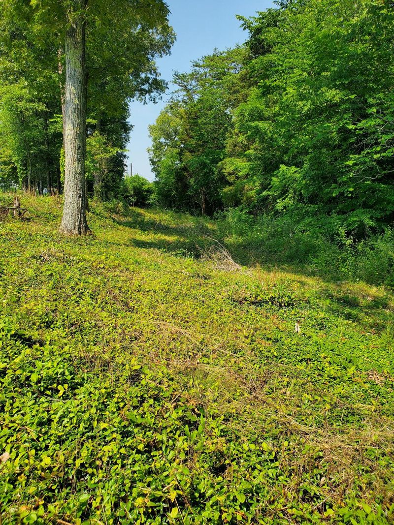0 Old Edgemoor Ln, Clinton, TN 37716