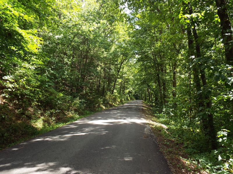 0 Old Gobey Rd, Wartburg, TN 37887