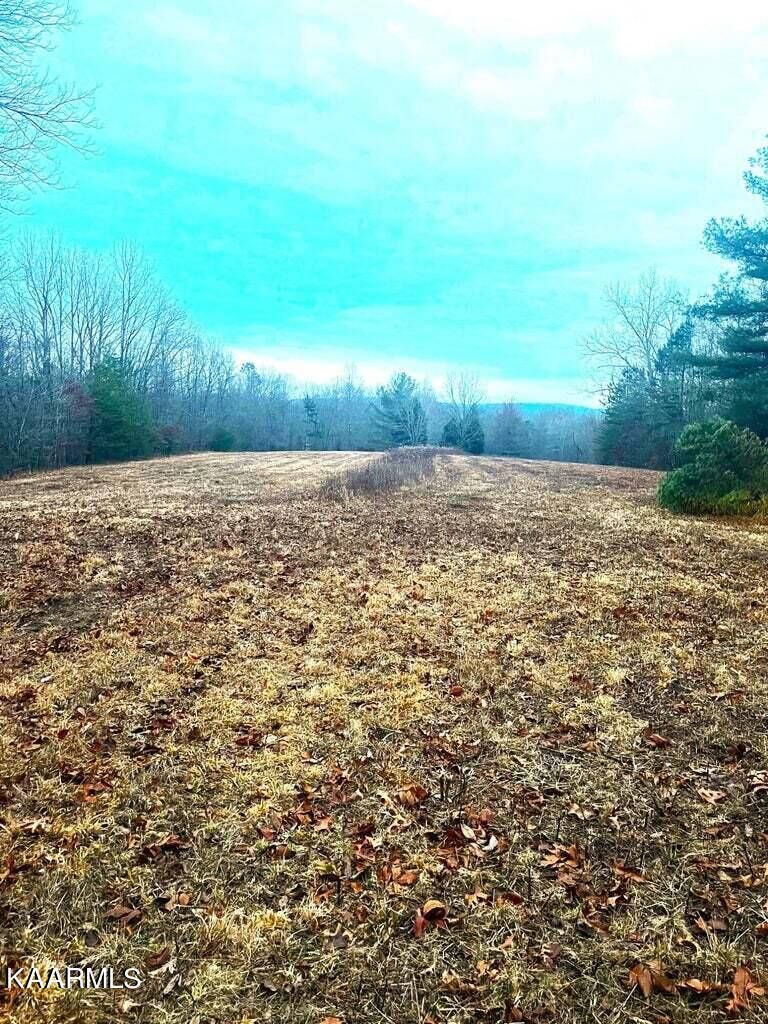 0 Old Gordon Rd, Grandview, TN 37337