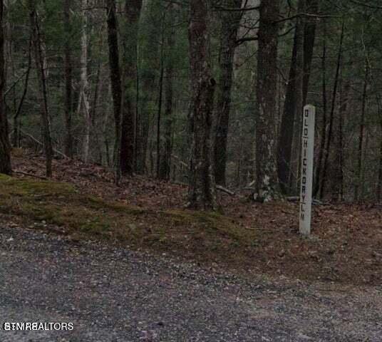 0 Old Hickory Ln, Coker Creek, TN 37314