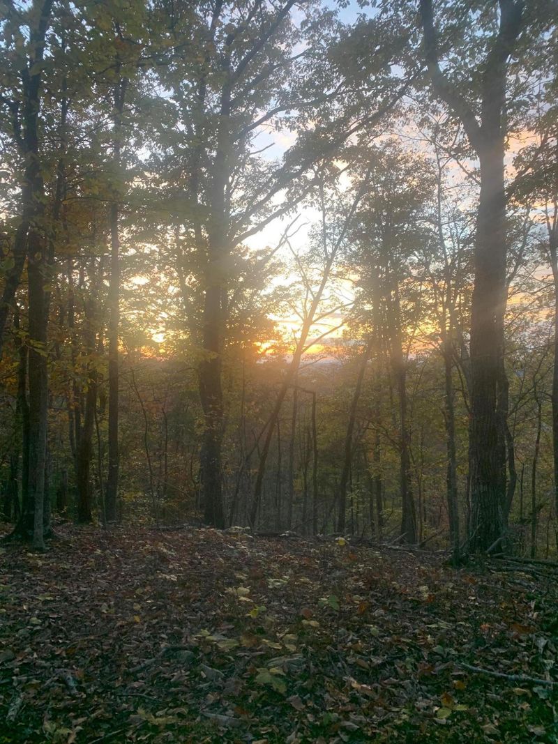 0 Old Johnston Valley Rd, Kingston, TN 37763