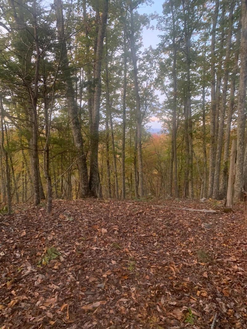 0 Old Johnston Valley Rd, Kingston, TN 37763
