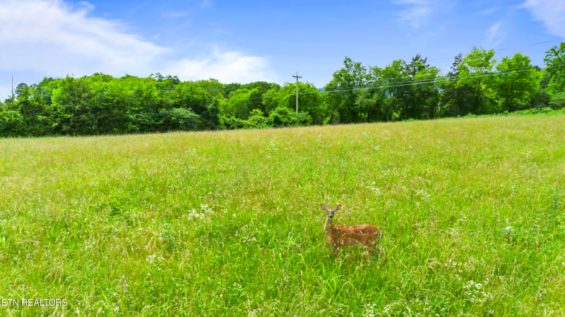 0 Old Middlesboro Hwy, Lafollette, TN 37766