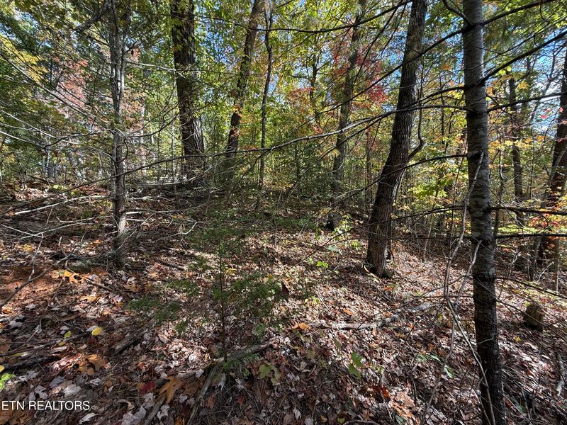 0 Old Mtn Rd, Sevierville, TN 37876