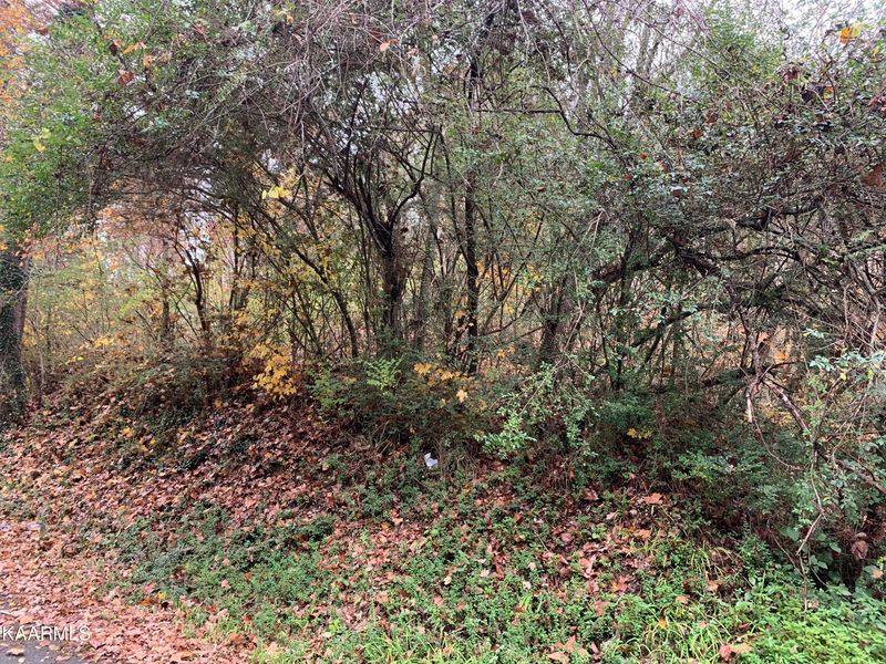 0 Old Patton Ln, Rockwood, TN 37854