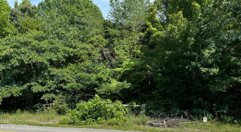 0 Old Piney Rd, Maryville, TN 37803