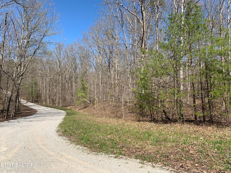 0 Old Ridge Rd Lot 43, Kingston, TN 37763