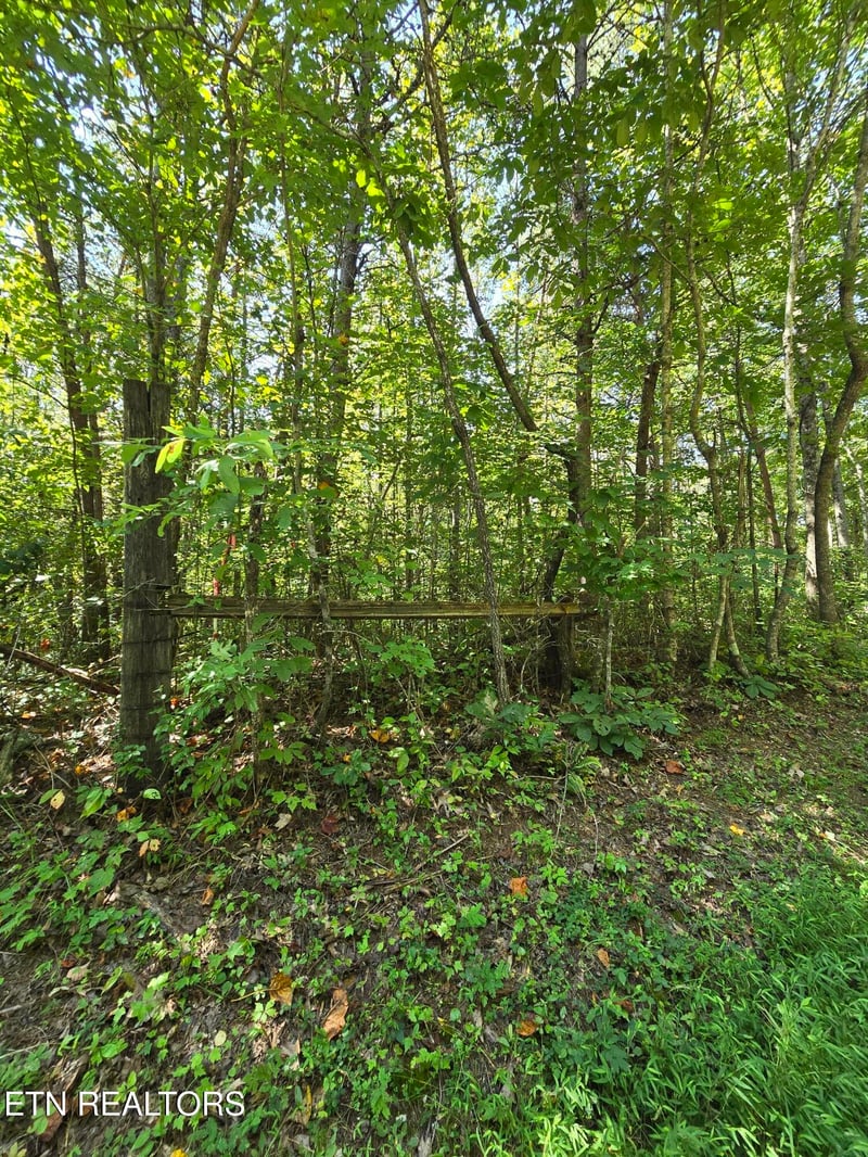 0 Old Rugby Pike, Robbins, TN 37852