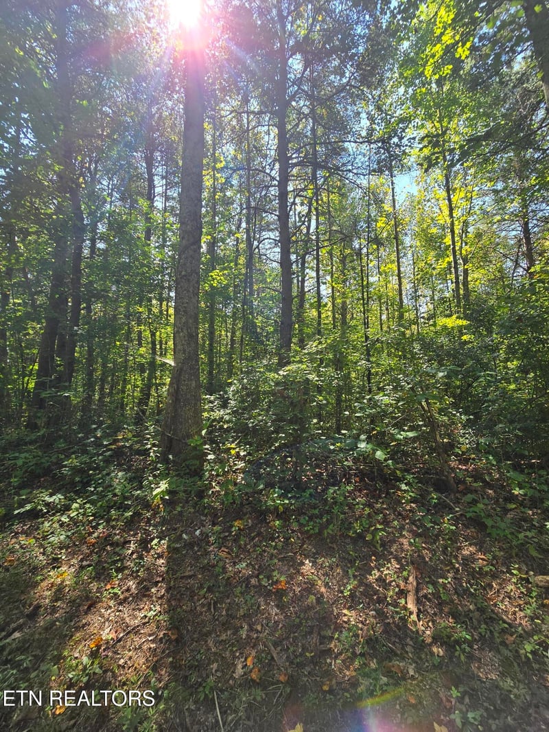 0 Old Rugby Pike, Robbins, TN 37852