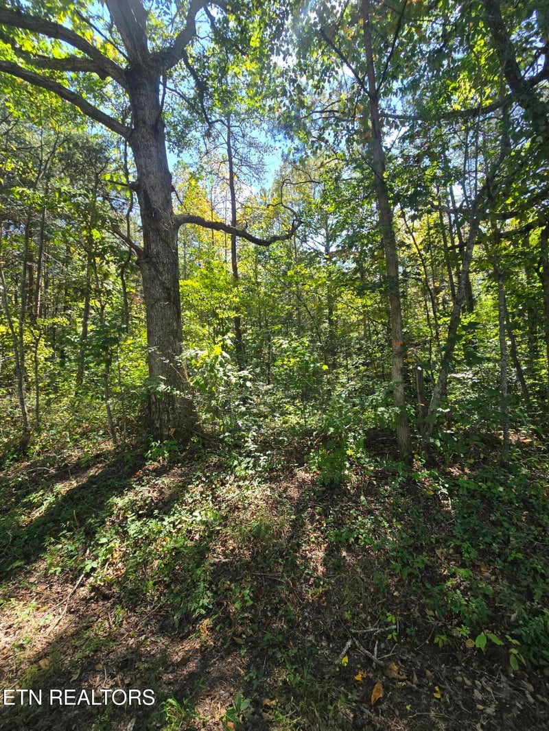 0 Old Rugby Pike, Robbins, TN 37852