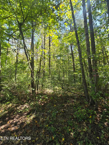 0 Old Rugby Pike, Robbins, TN 37852