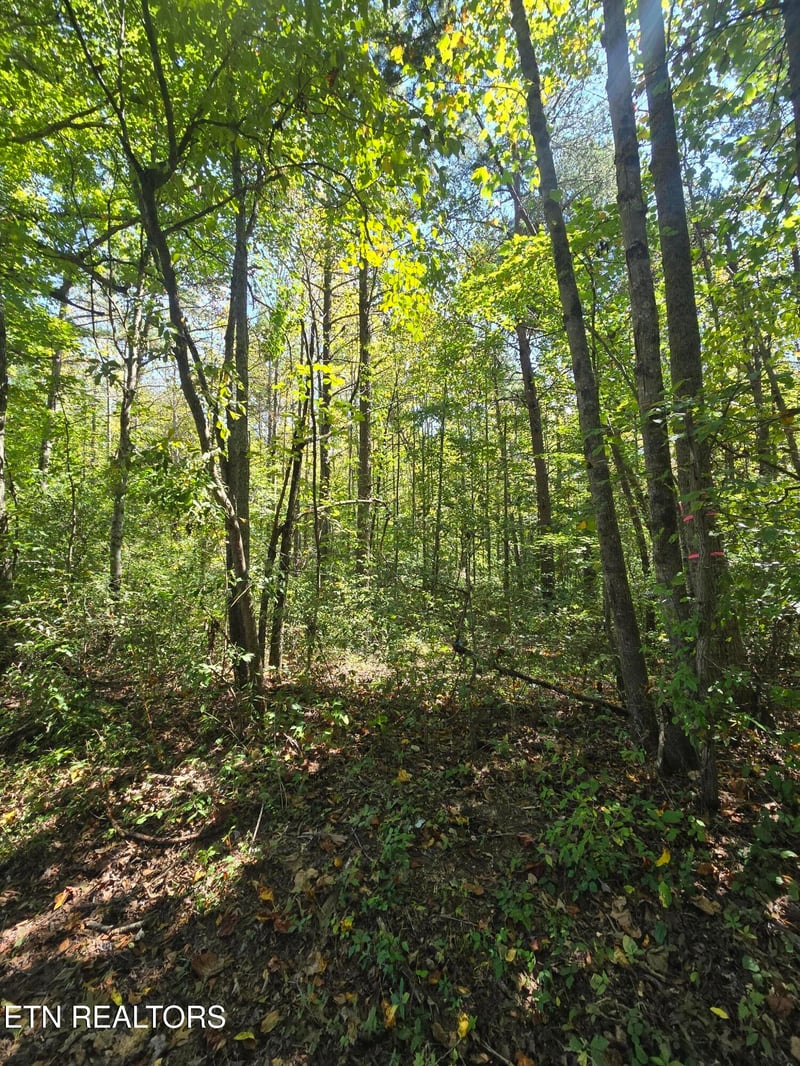 0 Old Rugby Pike, Robbins, TN 37852