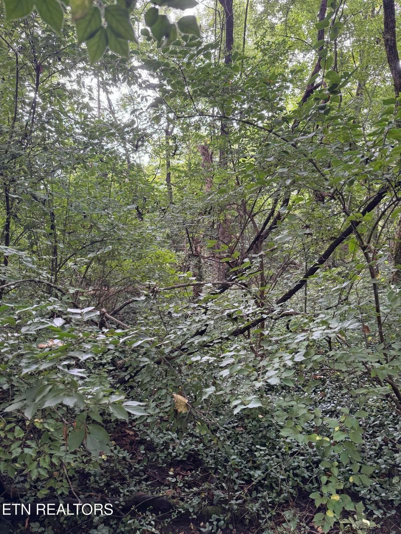 0 Old Rutledge Pike, Knoxville, TN 37924