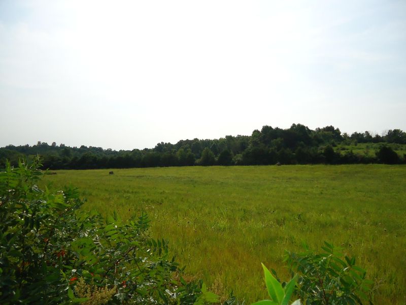 0 Old Store Rd, Madisonville, TN 37354